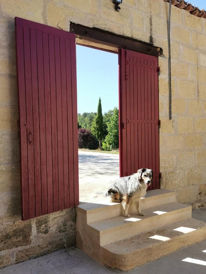 Gite De Charme Au Coeur De L'Entre-Deux-Mers Haux  Buitenkant foto